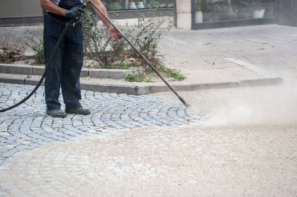 Best Dumpster Area Cleaning  in Dyer, IN