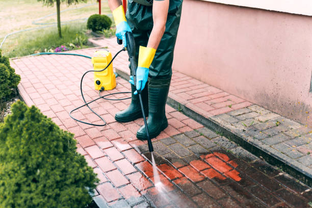 Best Building Exterior Washing  in Dyer, IN