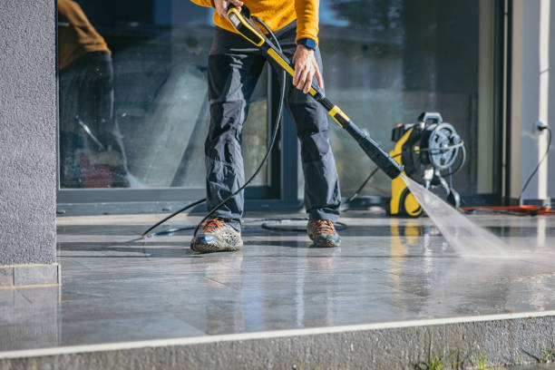Best Sidewalk and Walkway Cleaning  in Dyer, IN