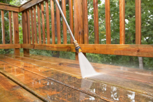 Best Driveway Pressure Washing  in Dyer, IN